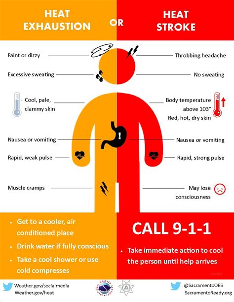 thermal dehydration